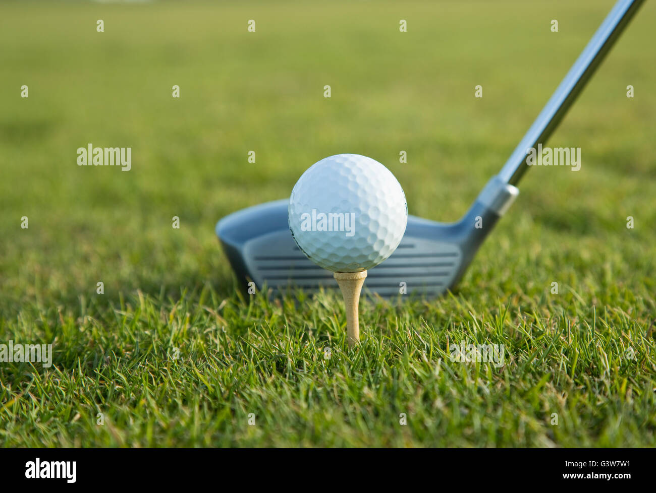 Pelota de golf sobre el tee con golf club en segundo plano. Foto de stock