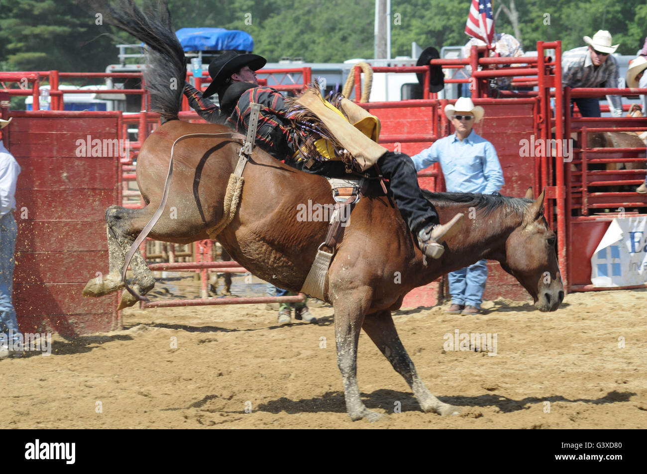 Un rodeo Vaquero montando un Bareback tirones Bronco Foto de stock