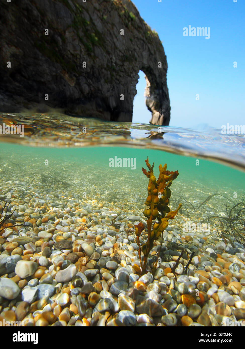 Nivel dividido en imagen submarina Durdle Door, Dorset con vejiga asolando las algas y guijarros de colores Foto de stock