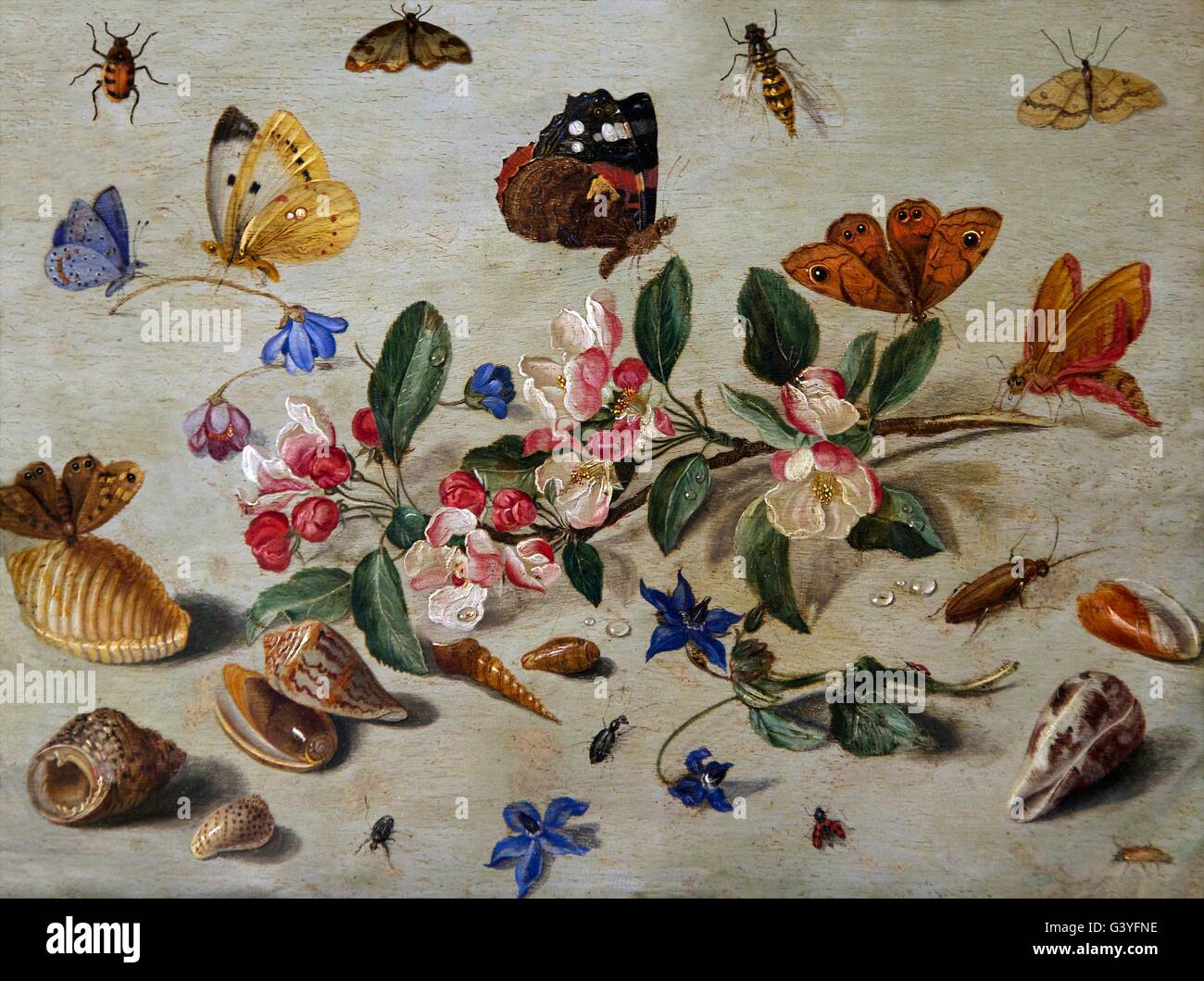 Flores e insectos, por Jan van Kessel I, Ashmolean Museum, Oxford, Oxfordshire, Inglaterra, Reino Unido, GB Europa Foto de stock