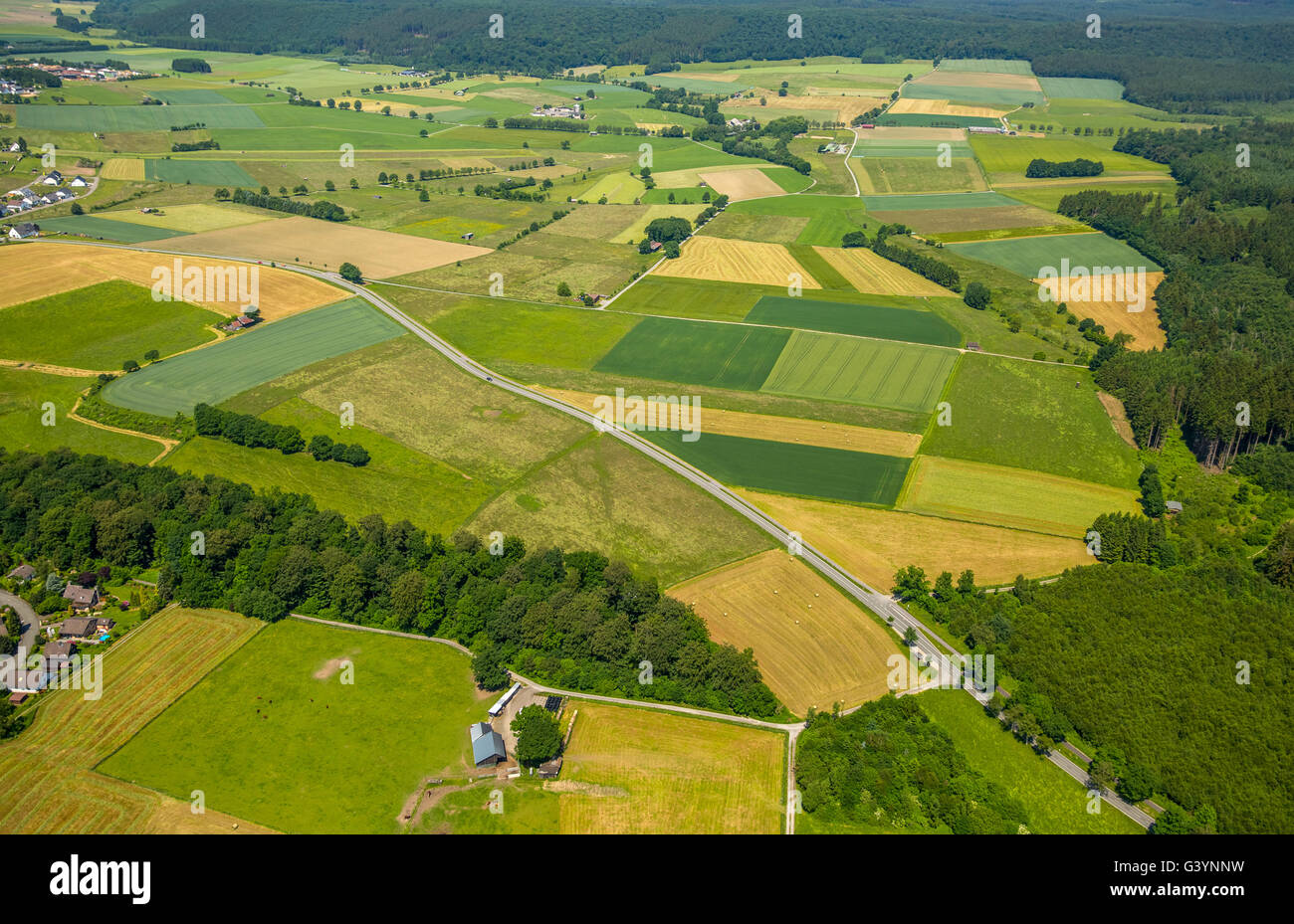 Vista aérea, prados y pastos al este de Hirschberg, Hirschberg, Warstein, la región de Sauerland, Renania del Norte-Westfalia, Alemania Foto de stock