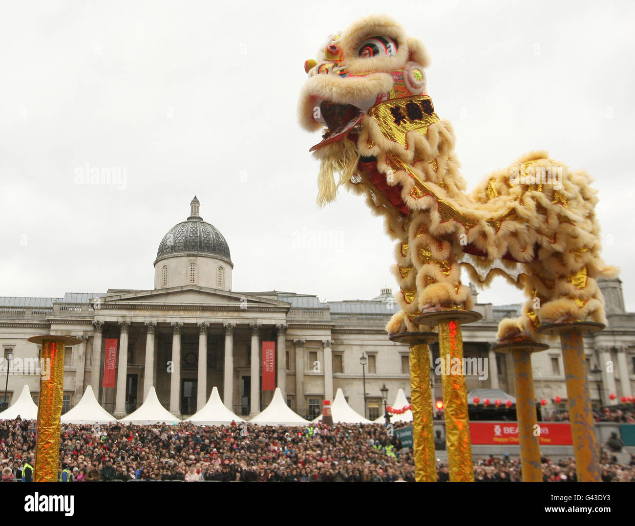 Los bailarines realizan un baile de león chino como parte de las celebraciones del Año Nuevo Chino en Trafalgar Square, en el centro de Londres. Foto de stock
