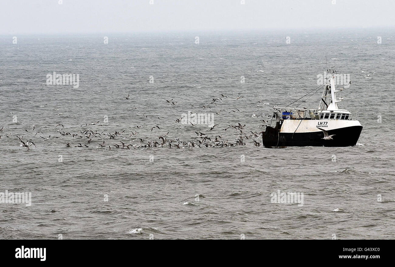 Barco de pesca en Hartlepool. Un barco de pesca seguido de aves marinas se adentra en el puerto de Hartlepool. Foto de stock