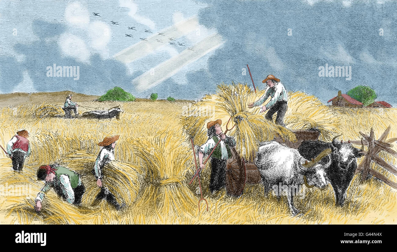 Agriculture Farming 18th Century Fotos e Imágenes de stock - Alamy