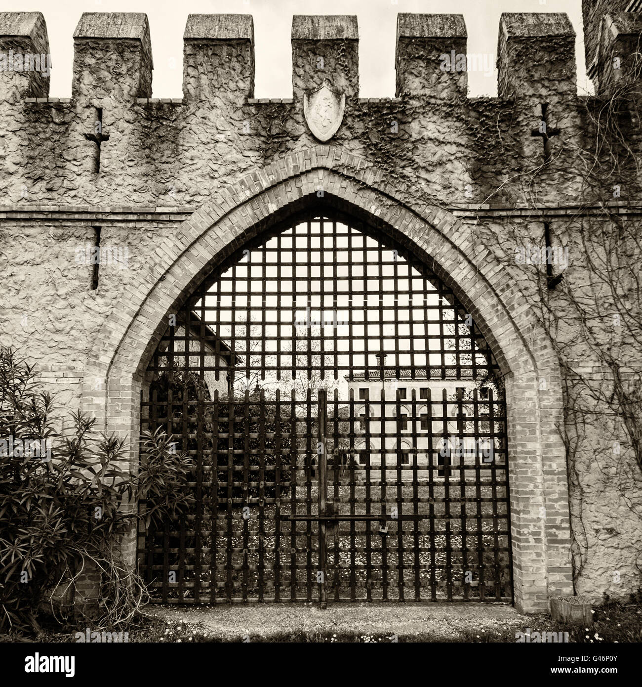 Puertas - Puertas Principales En Hierro Forjado D'castel, puertas hierro 