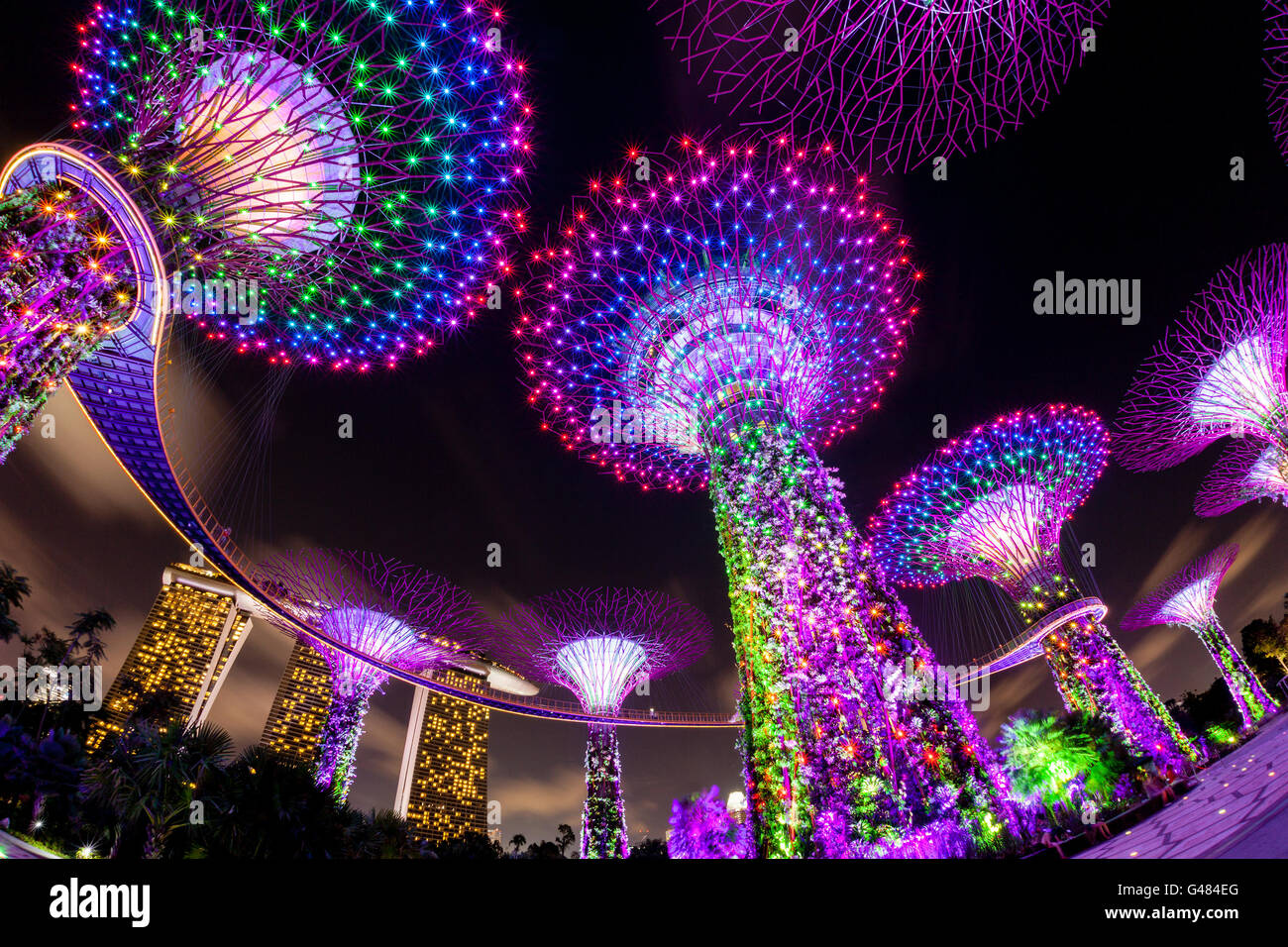 Singapur, Singapur, 14 de julio de 2015: La Supertree Grove cobra vida en los jardines junto a la bahía de Singapur. Las noches de deslumbrante m Foto de stock