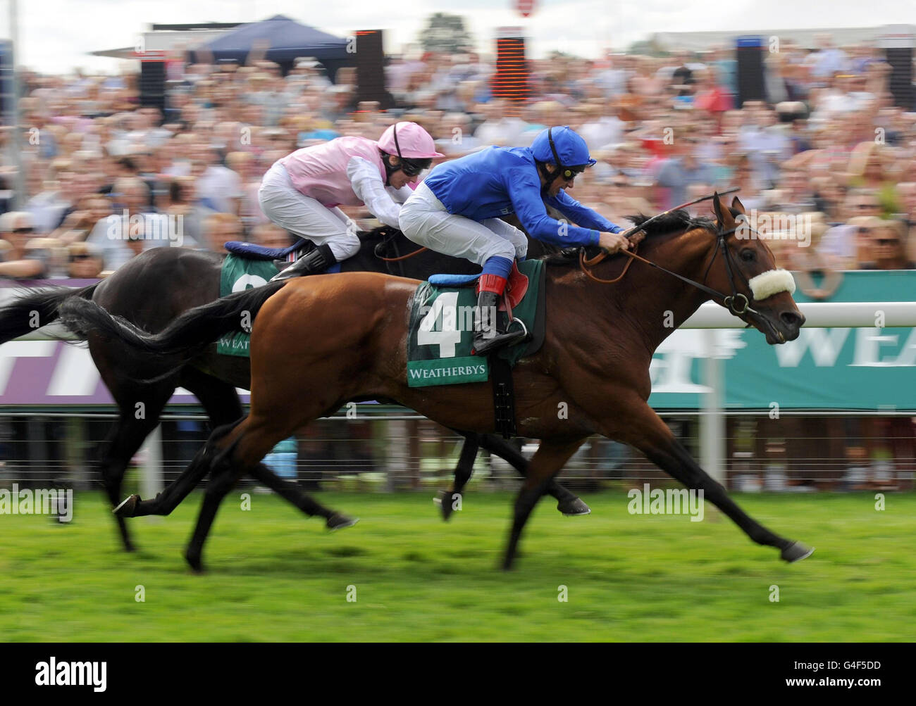 Frankie Dettori y Opinion Poll (derecha) ganan la Weatherbys Insurance Lonsdale Cup durante el Ebor Festival 2011 en el hipódromo de York. Foto de stock