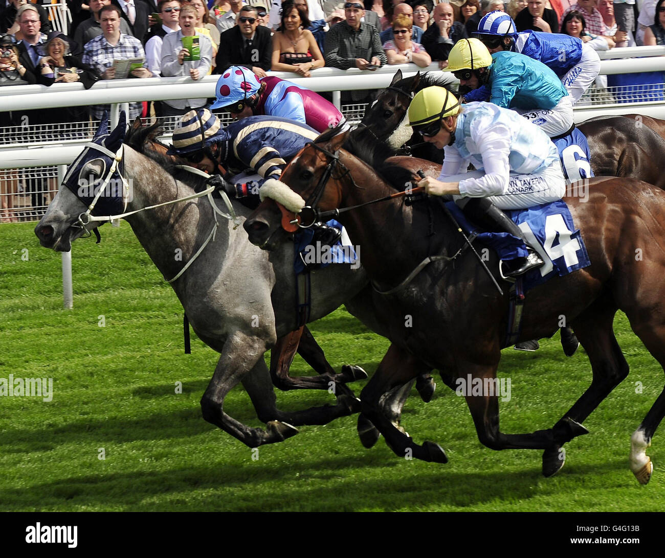 Carreras de Caballos - Ebor Festival 2011 - Juddmonte International - York Racecourse Foto de stock