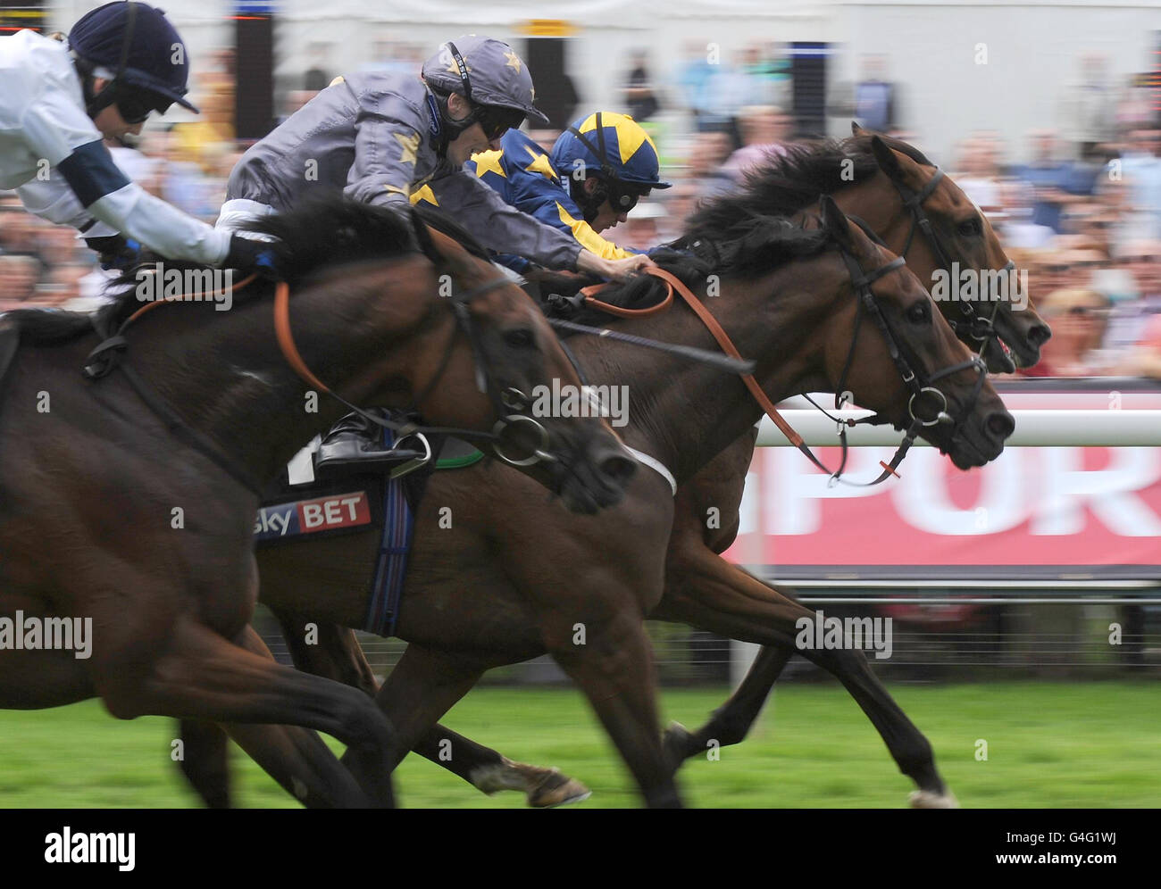 Carreras de Caballos - Ebor Festival 2011 - Coolmore Nunthorpe - York Racecourse Foto de stock