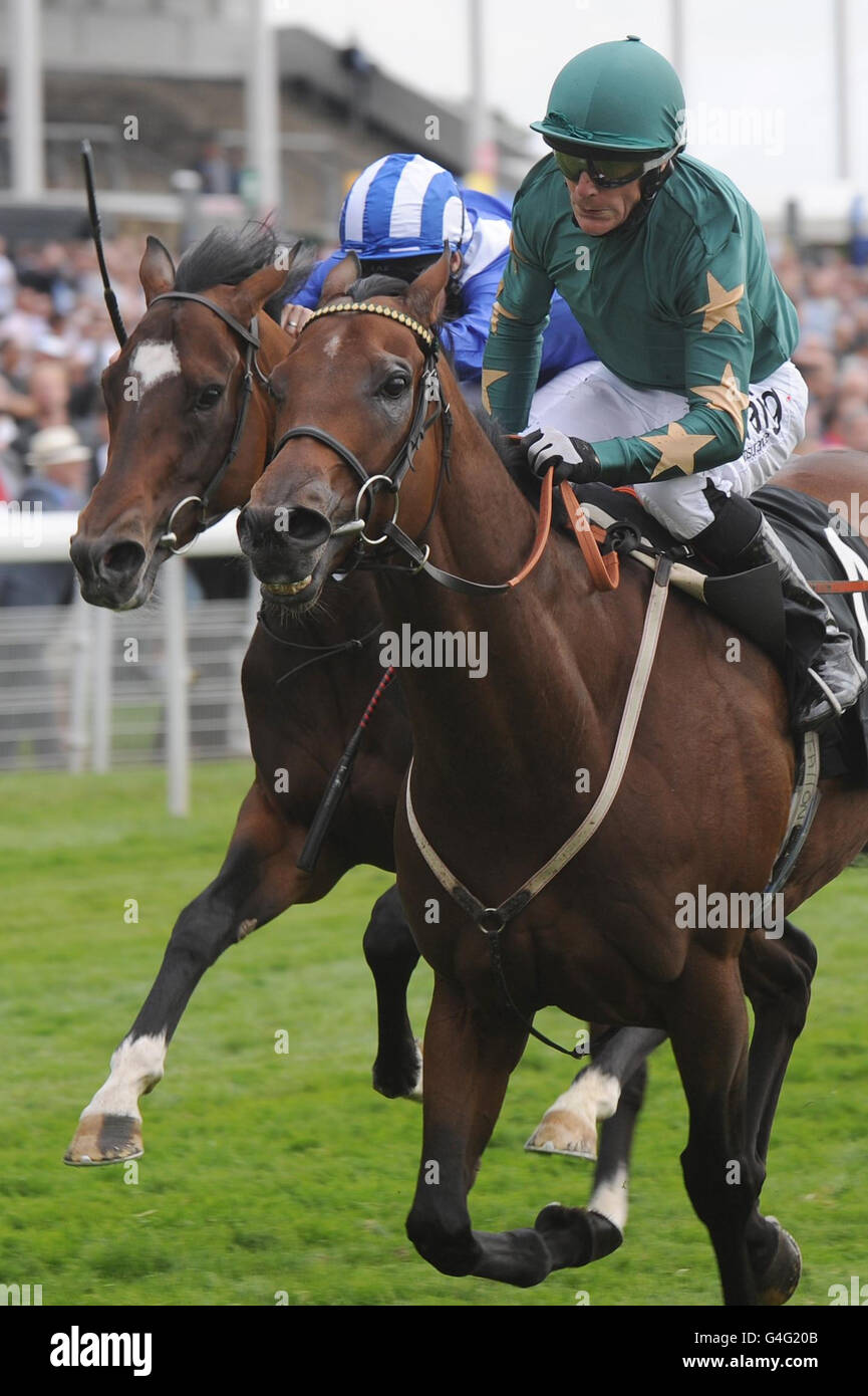 Carreras de Caballos - Ebor Festival 2011 - Coolmore Nunthorpe - York Racecourse Foto de stock