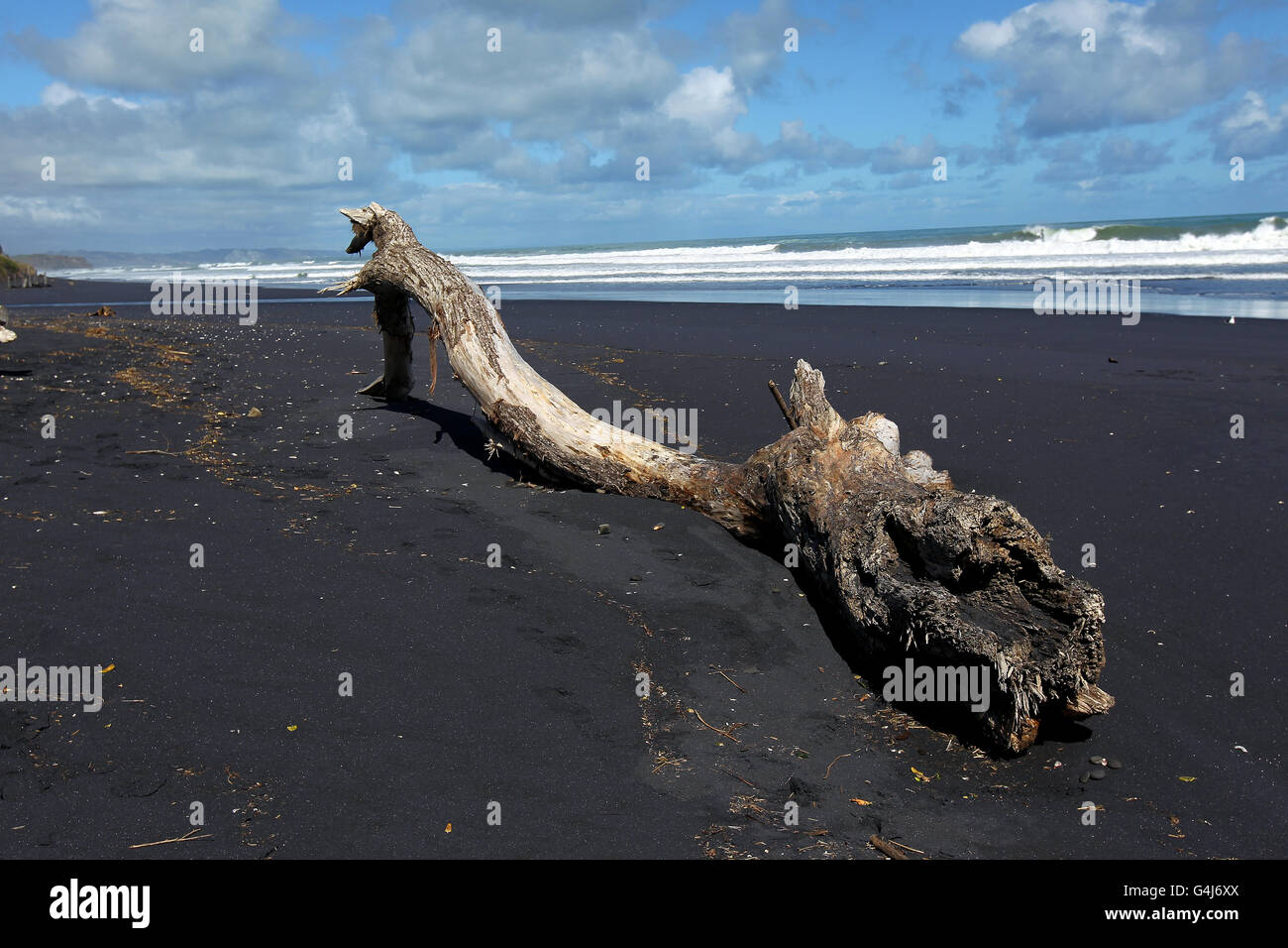 Stock de viajes - Nueva Zelanda. Playas de arena negra en la región de Waikato en Nueva Zelanda. Foto de stock