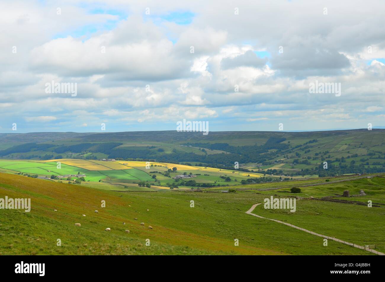 Vista de corte de nidderdale coldstones Yorkshire Dales Foto de stock