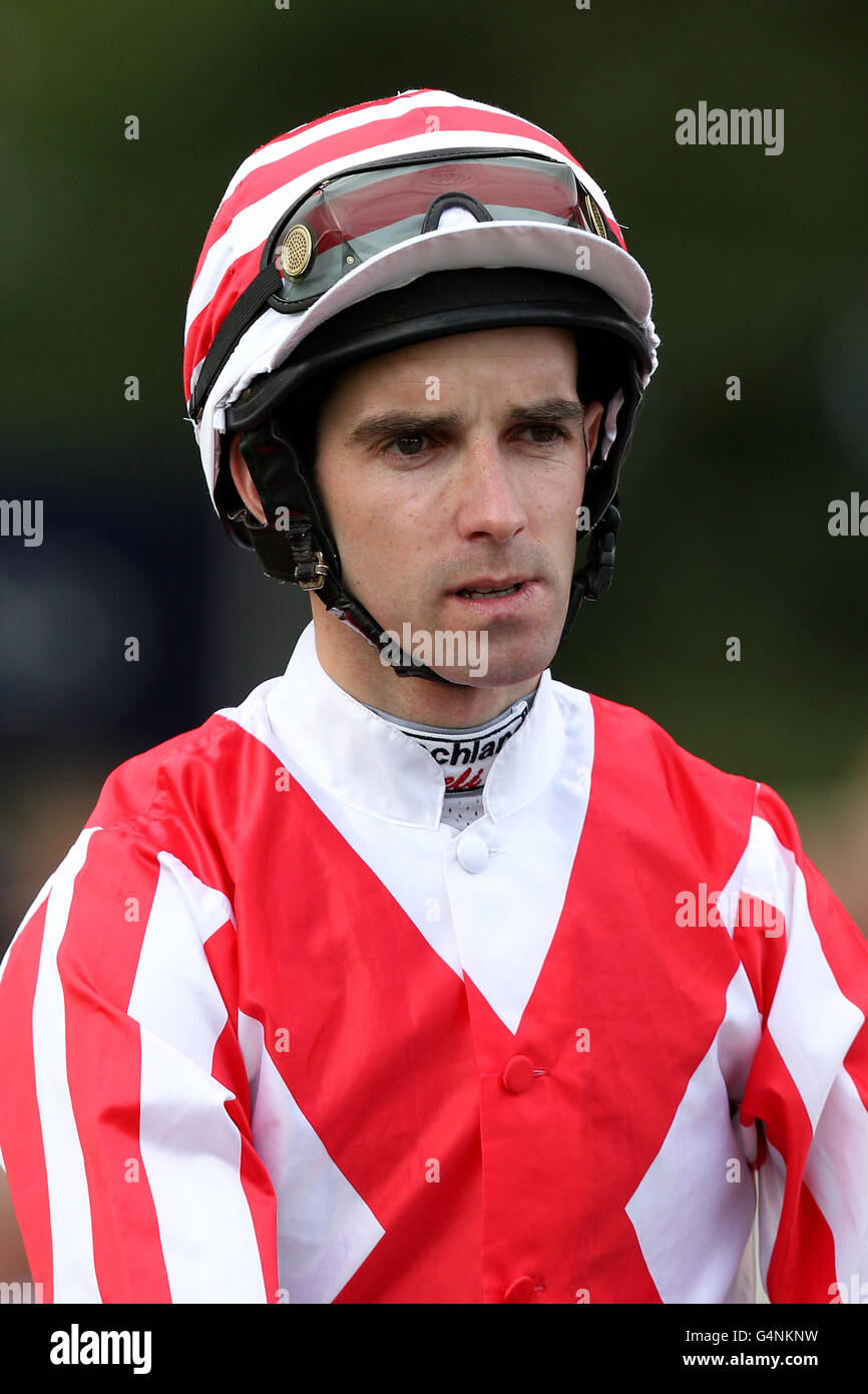 Carreras de caballos - Ebor Festival 2011 - Juddmonte International - Hipódromo de York. Jockey Leighton Aspell Foto de stock