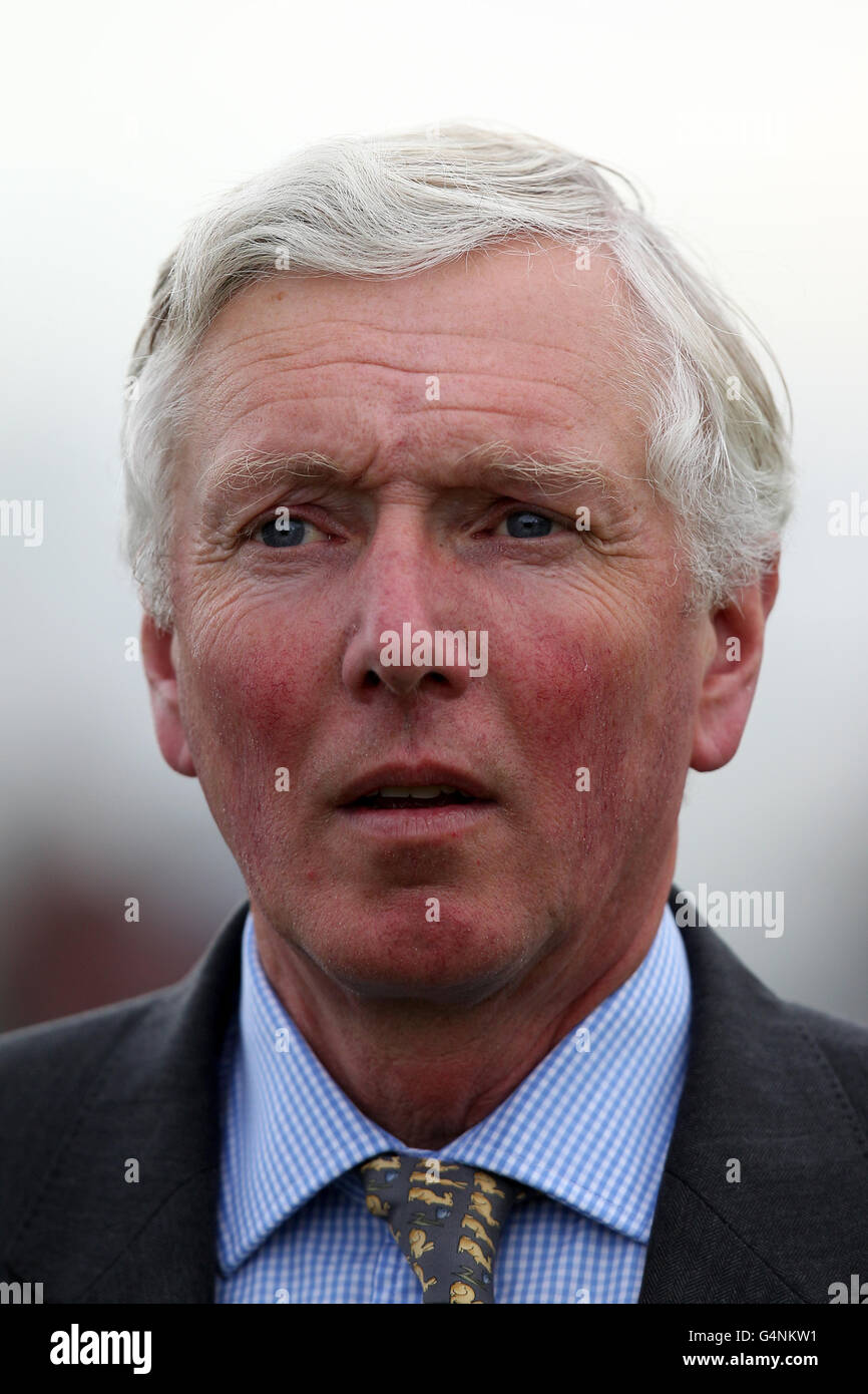 Carreras de caballos - Ebor Festival 2011 - Juddmonte International - Hipódromo de York. Entrenador James Bethell Foto de stock