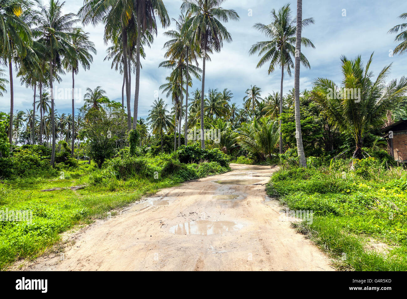 Isla tropical de Racha en Tailandia Foto de stock
