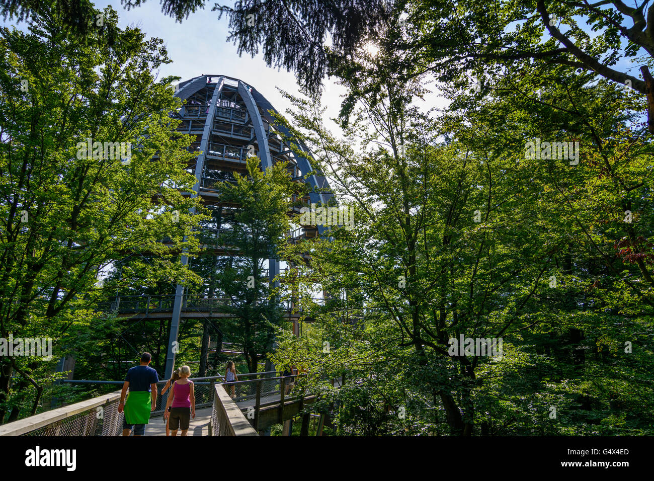 Torre obervation 'Tree Canopy Tower' en camino al Centro de Información del Parque Nacional Lusen, Parque Nacional Bayerischer Wald, Bavari Foto de stock
