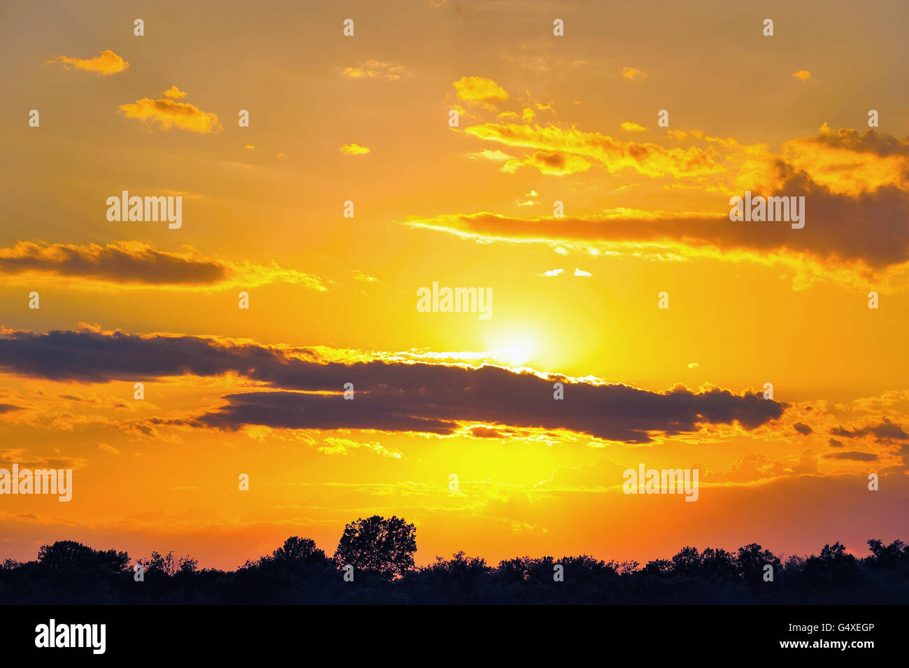 La puesta de sol detrás de las nubes resbala encima de la rama occidental del Condado de DuPage Forest Preserve. Illinois, EE.UU. Foto de stock