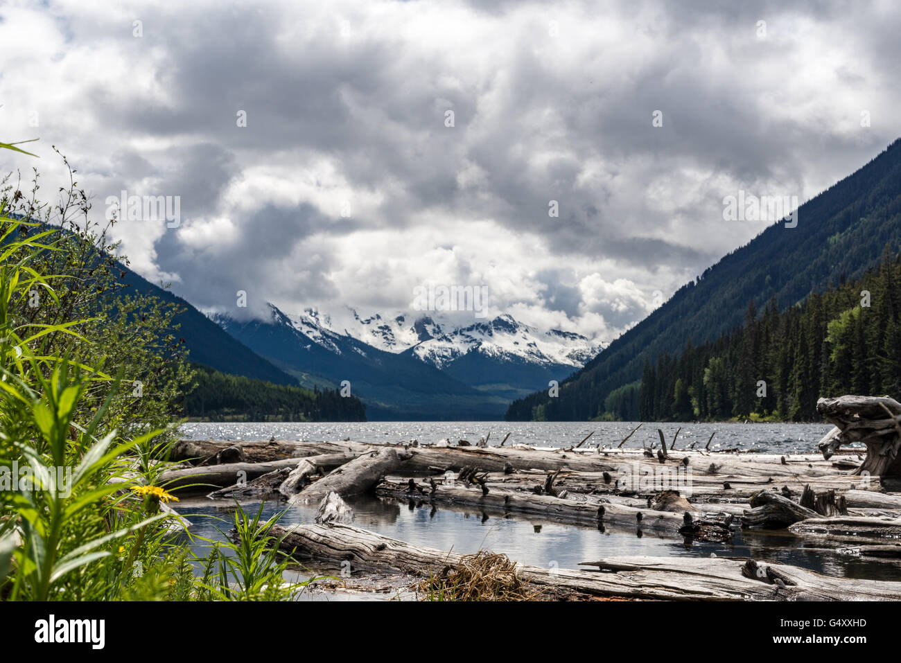Canadá, Columbia Británica, Coast Mountains, registros deriva en el lago de montaña cerca de la costa, las montañas Foto de stock