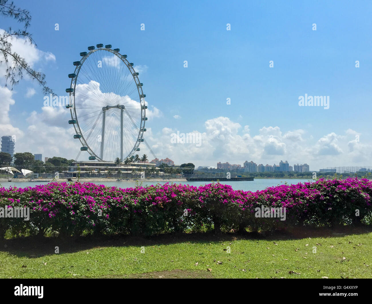 Singapur, en los jardines de la bahía con una vista de Singapore Flyer Foto de stock