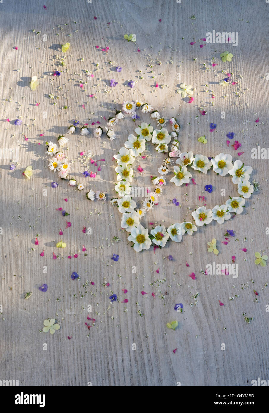 Corazones entrelazados de daisy flores y fresas en placa pintadas de blanco, salpicado de pequeñas flores de verano. Foto de stock