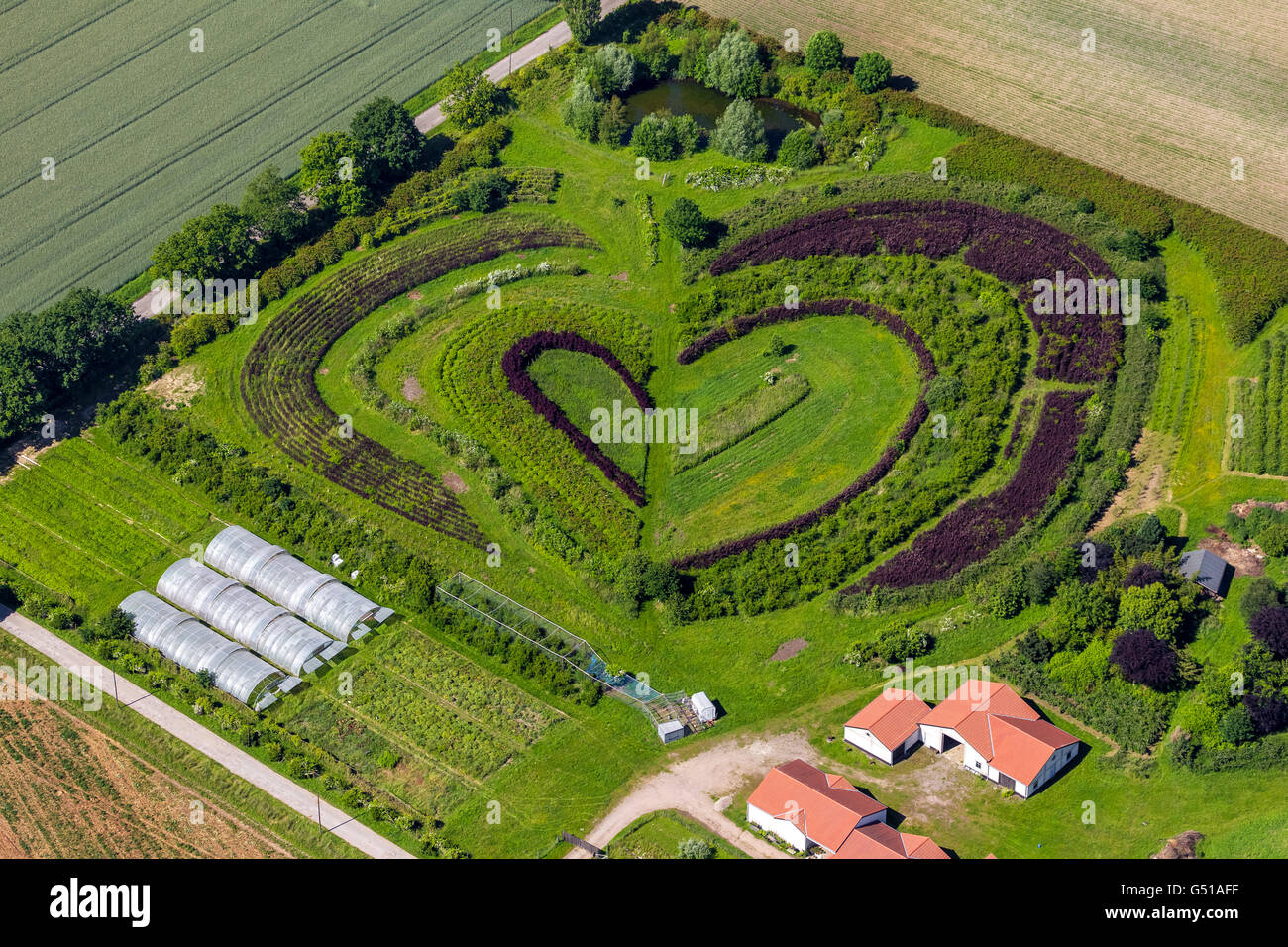 Vista aérea, corazón, empresa hortícola en Waltrop, árbol y escuela bush en forma de corazón, con forma de corazón, corazón Waltrop, Foto de stock