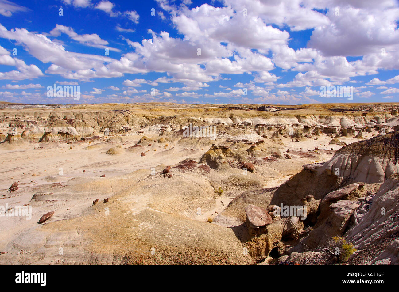 Desierto Sle-Pah Ah-Shi-Área de estudio, un parque nacional ubicado en Nuevo México en los Estados Unidos. Foto de stock