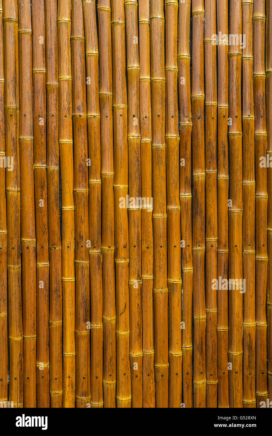 Puerta de bambú fotografías e imágenes de alta resolución - Alamy