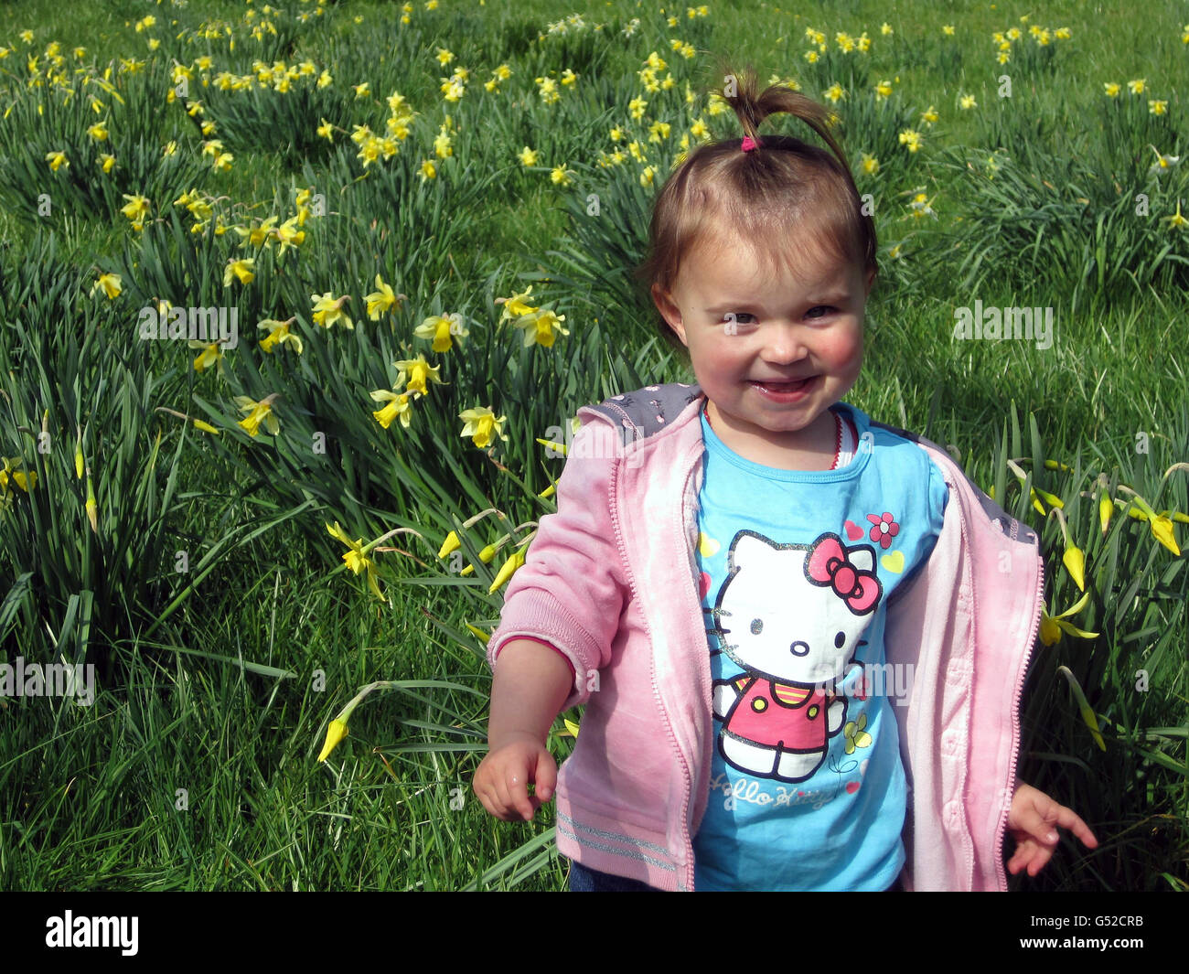 Ula Todeodorska, de 2 años, de Plymouth, juega en los narcisos de Cotehele en Cornwall. Foto de stock
