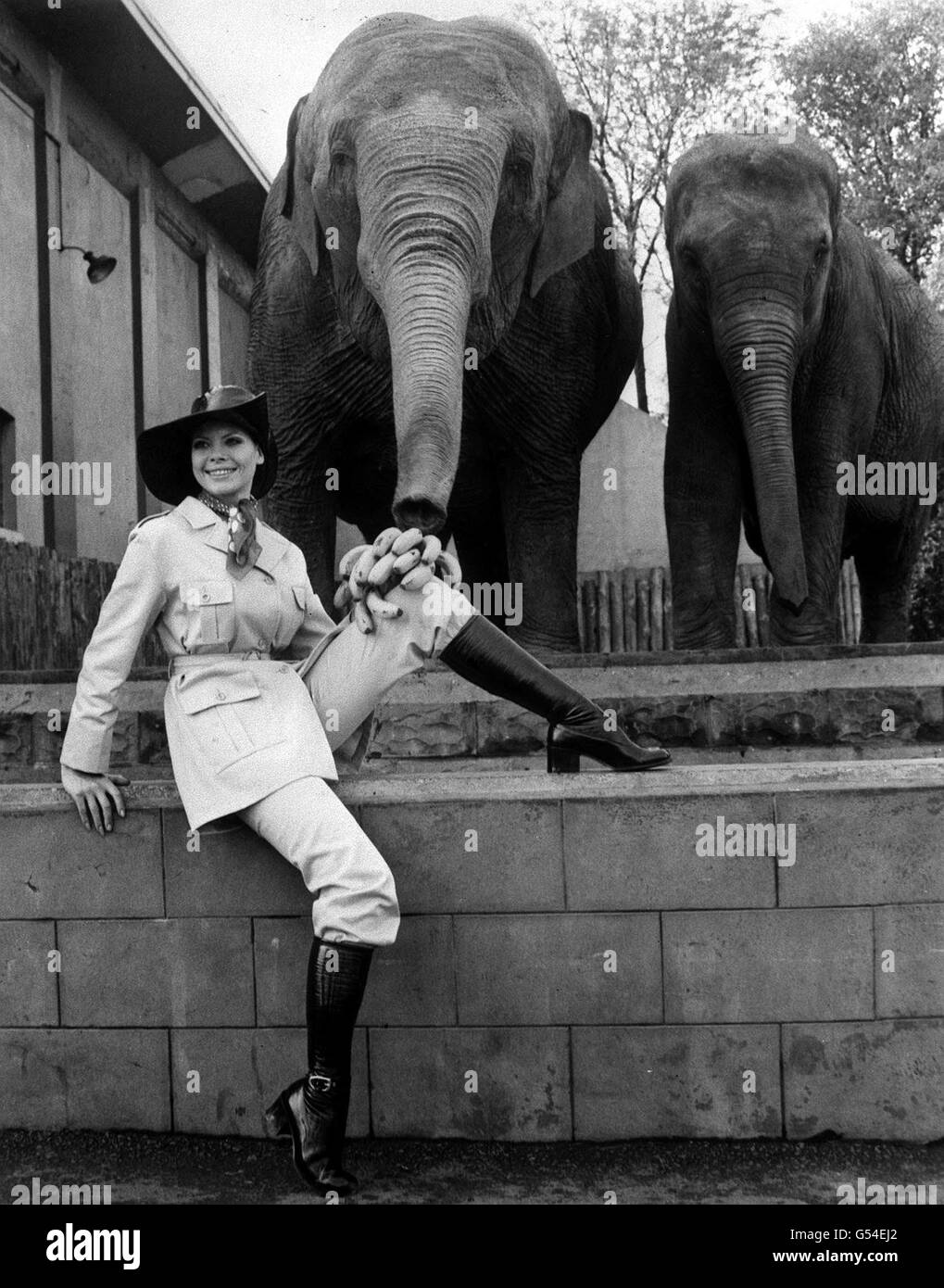 MODELO JENNY BLANCO. Pa Foto 28/12/1970 Modelo Jenny White Poses en el zoológico Belle Vue de Manchester Foto de stock