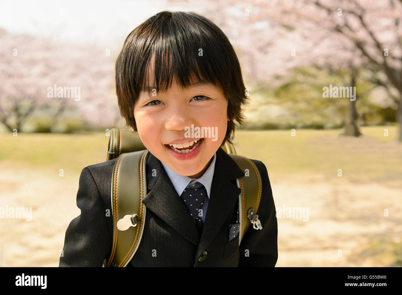 Estudiante de la escuela elemental japonesa y cerezos en flor Foto de stock