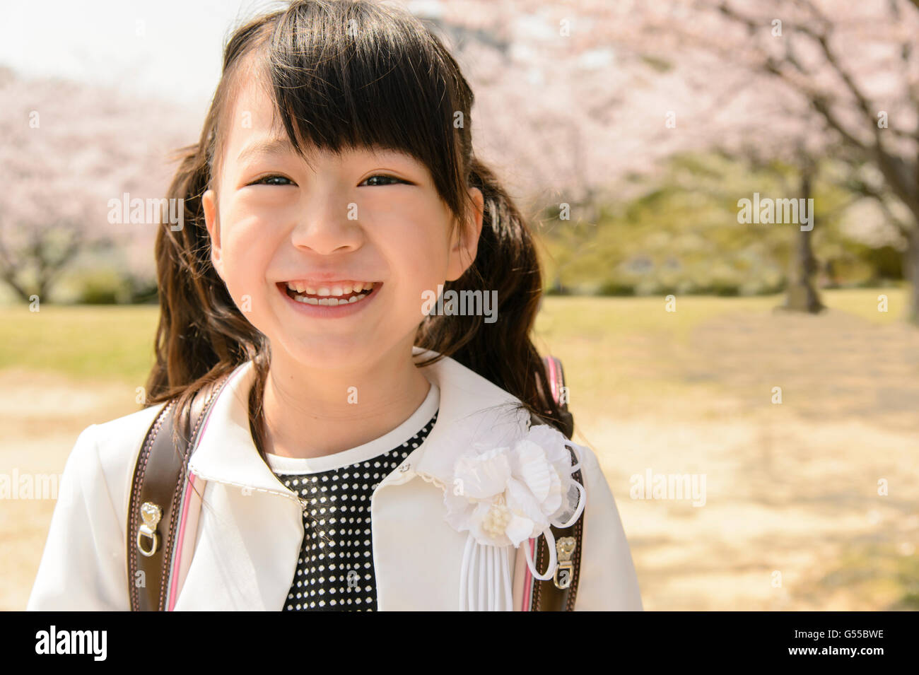 Estudiante de la escuela elemental japonesa y cerezos en flor Foto de stock