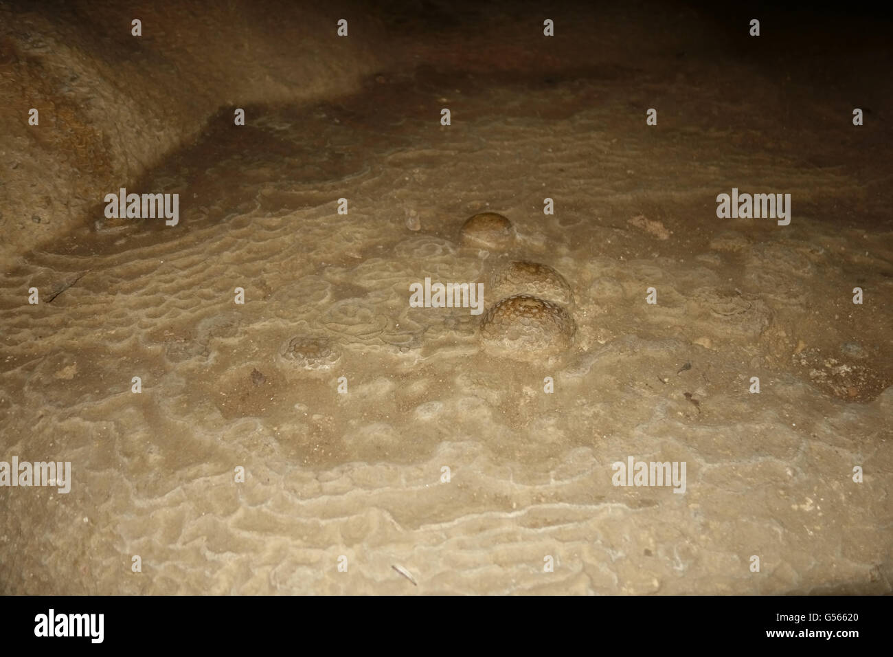 Los huevos de tortuga fosilizada en la roca caliza, Dau Go Cave, La Bahía de Halong, Vietnam, enero Foto de stock