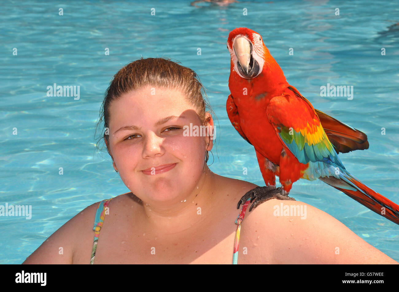 Chica en la piscina con un colorido loro en su hombro Foto de stock