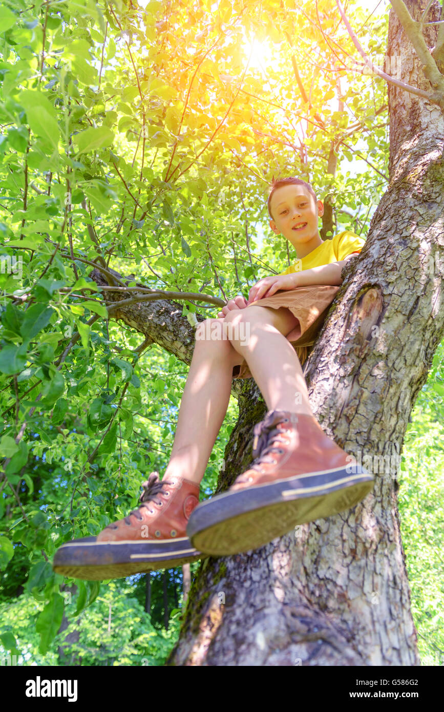 Chico sonriente en el árbol. Hora de verano! Foto de stock