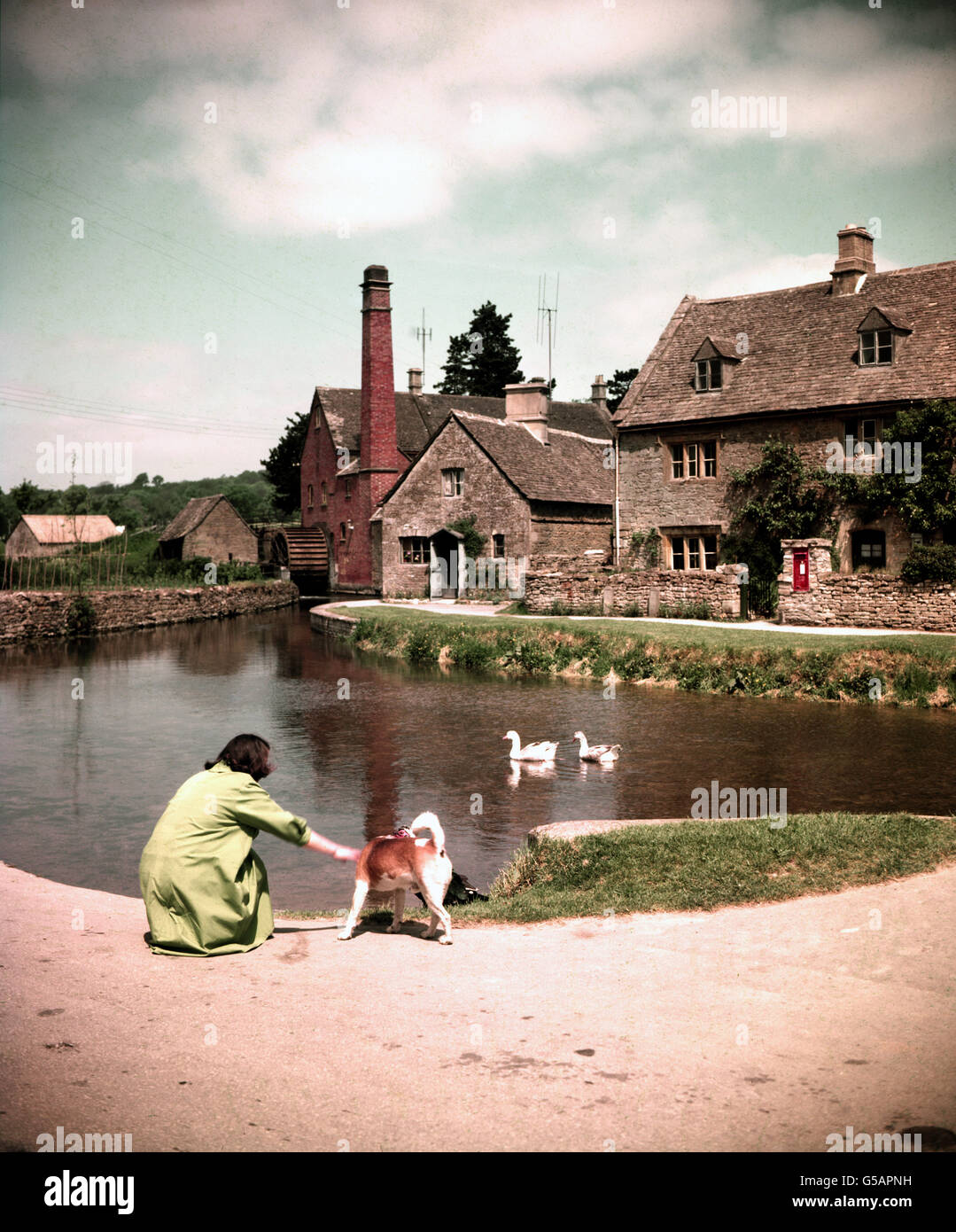 MATANZA INFERIOR 1959: La casa Old Mill y el arroyo de la fábrica en el pueblo Gloucestershire de la matanza inferior. Foto de stock