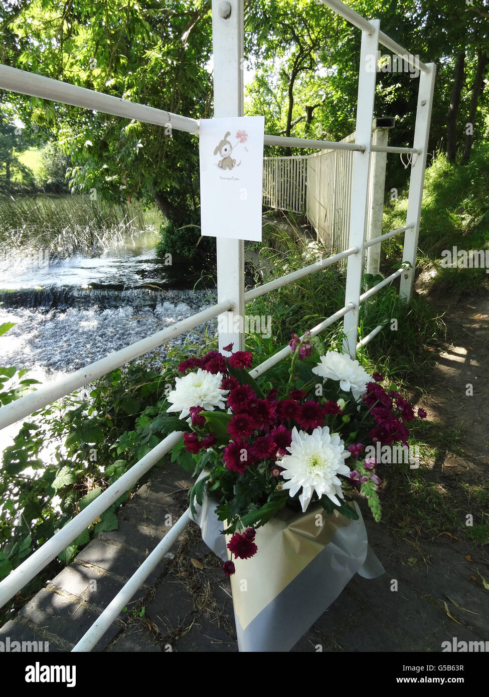 Adolescente se ahoga en saltford fotografías e imágenes de alta