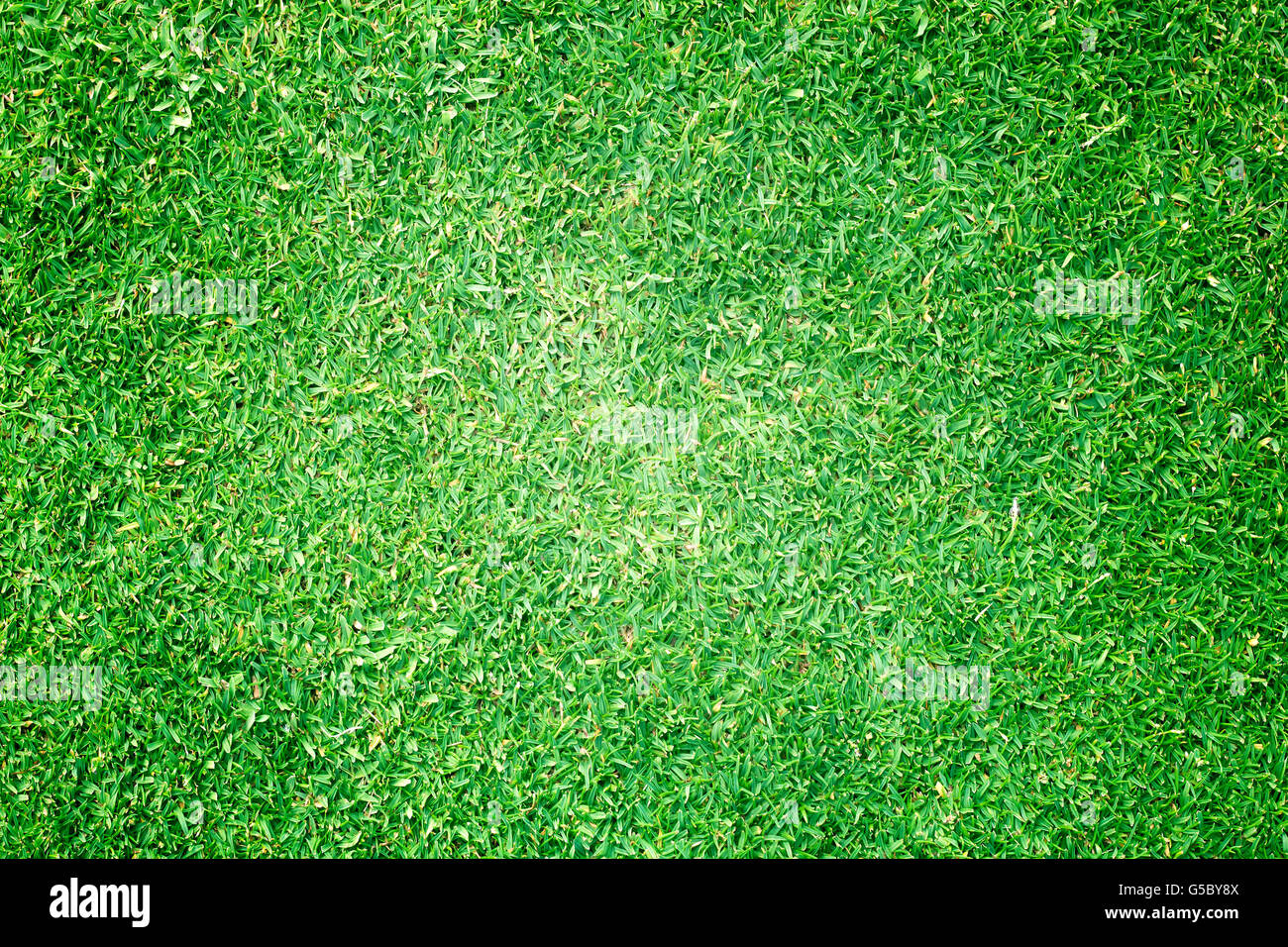Campos de Golf de césped verde fondo de textura de patrón. Foto de stock