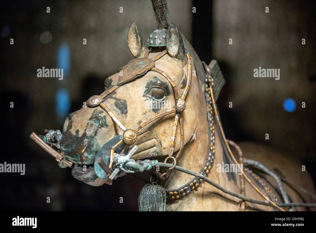 Cabeza de caballo con carro para el emperador Qin Shi Huang, distrito de Lintong, Xi'an, provincia de Shaanxi China Foto de stock