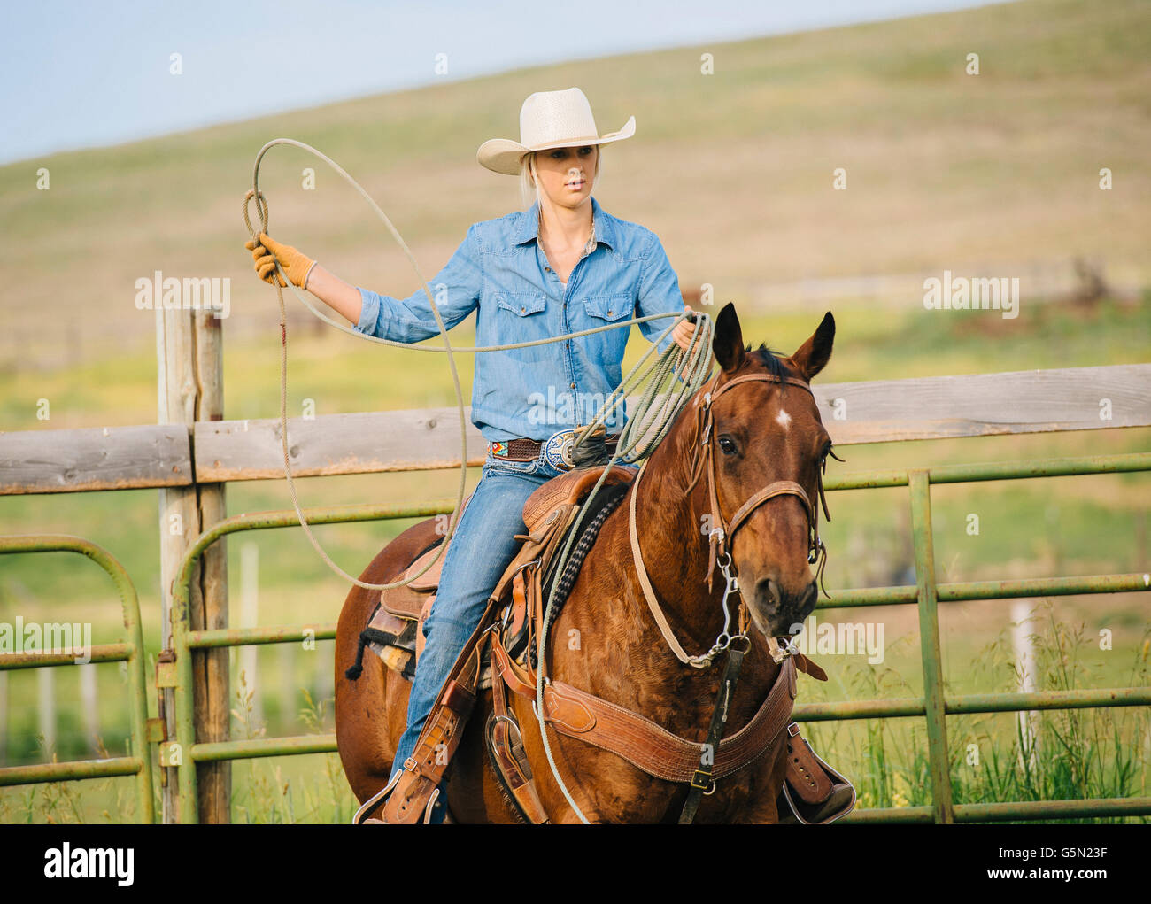 Cowgirl caucásica arrojando lasso a caballo Foto de stock