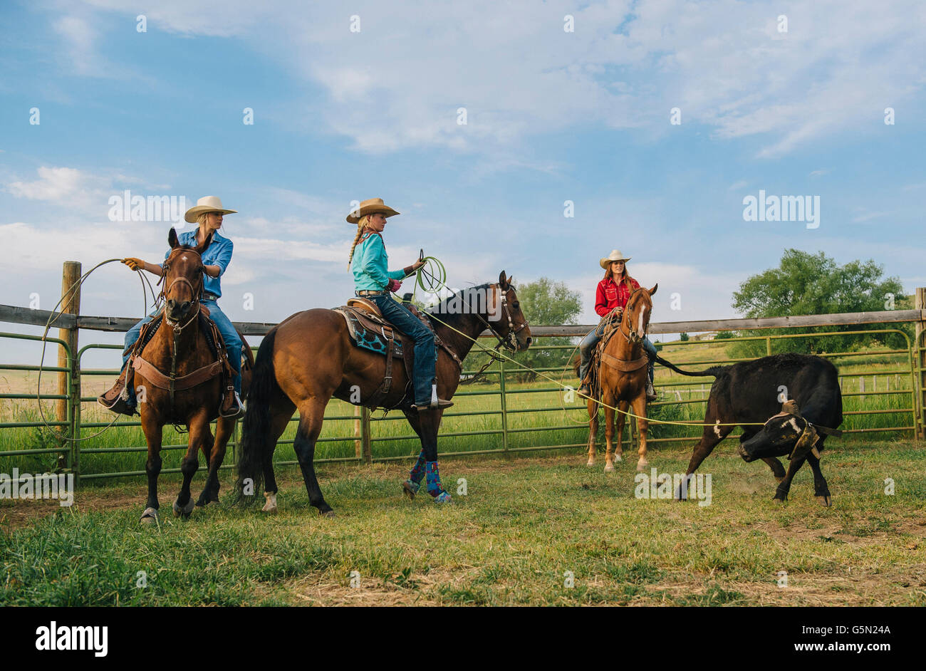 Vaqueras a caballo en el rancho de ganado lassoing Foto de stock