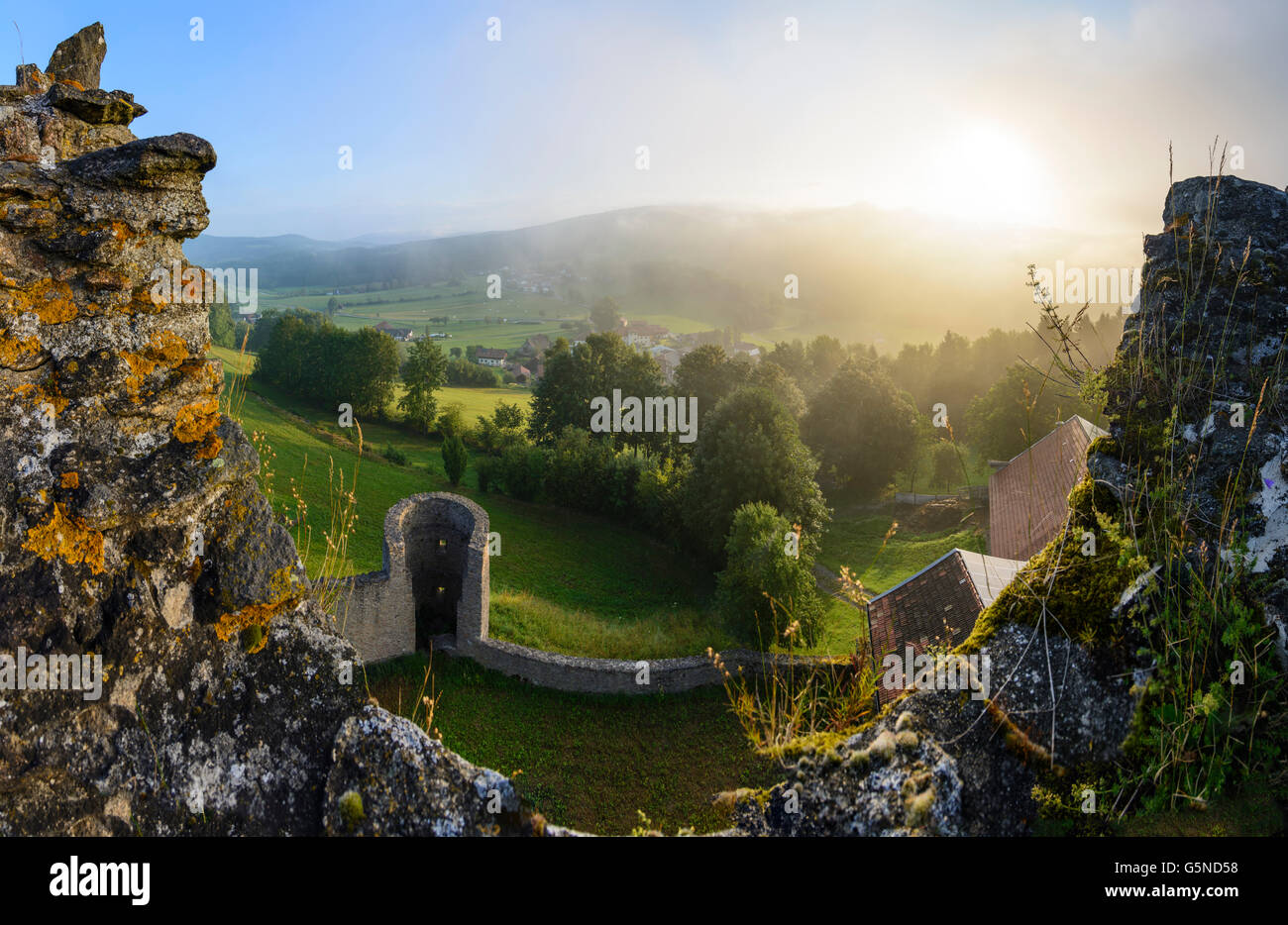 Castillo Neunußberg: Vista desde la casa de la torre en la niebla de la mañana sobre Neunußberg y el Bosque Bávaro, Viechtach, Alemania, Nathalie Baye Foto de stock