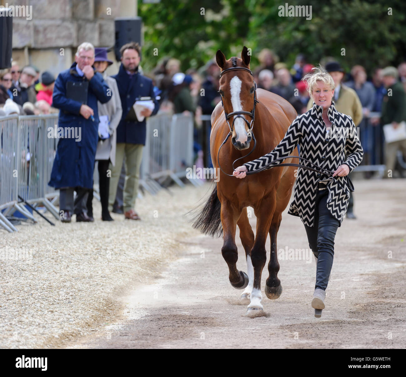 Nicola Wilson y uno dos muchos - primer caballo inspección - Mitsubishi Motors Badminton Horse Trials, Badminton House, miércoles 6 de mayo de 2015. Foto de stock
