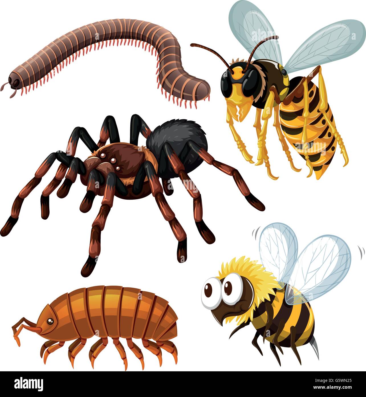 Otro tipo de insectos peligrosos ilustración Ilustración del Vector