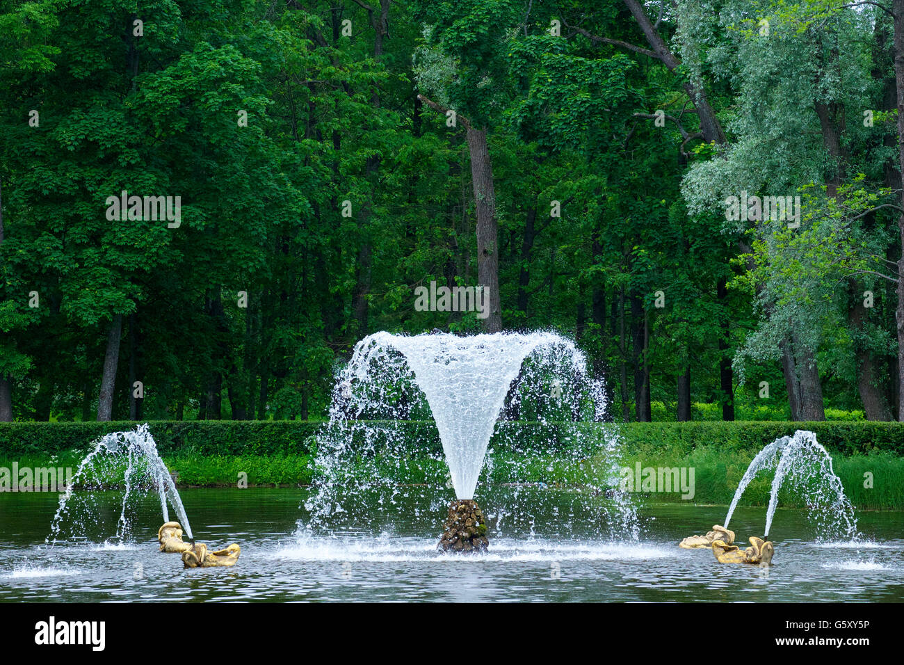 En jardines, fuentes, petrodvorets peterhof, San Petersburgo, Rusia Foto de stock