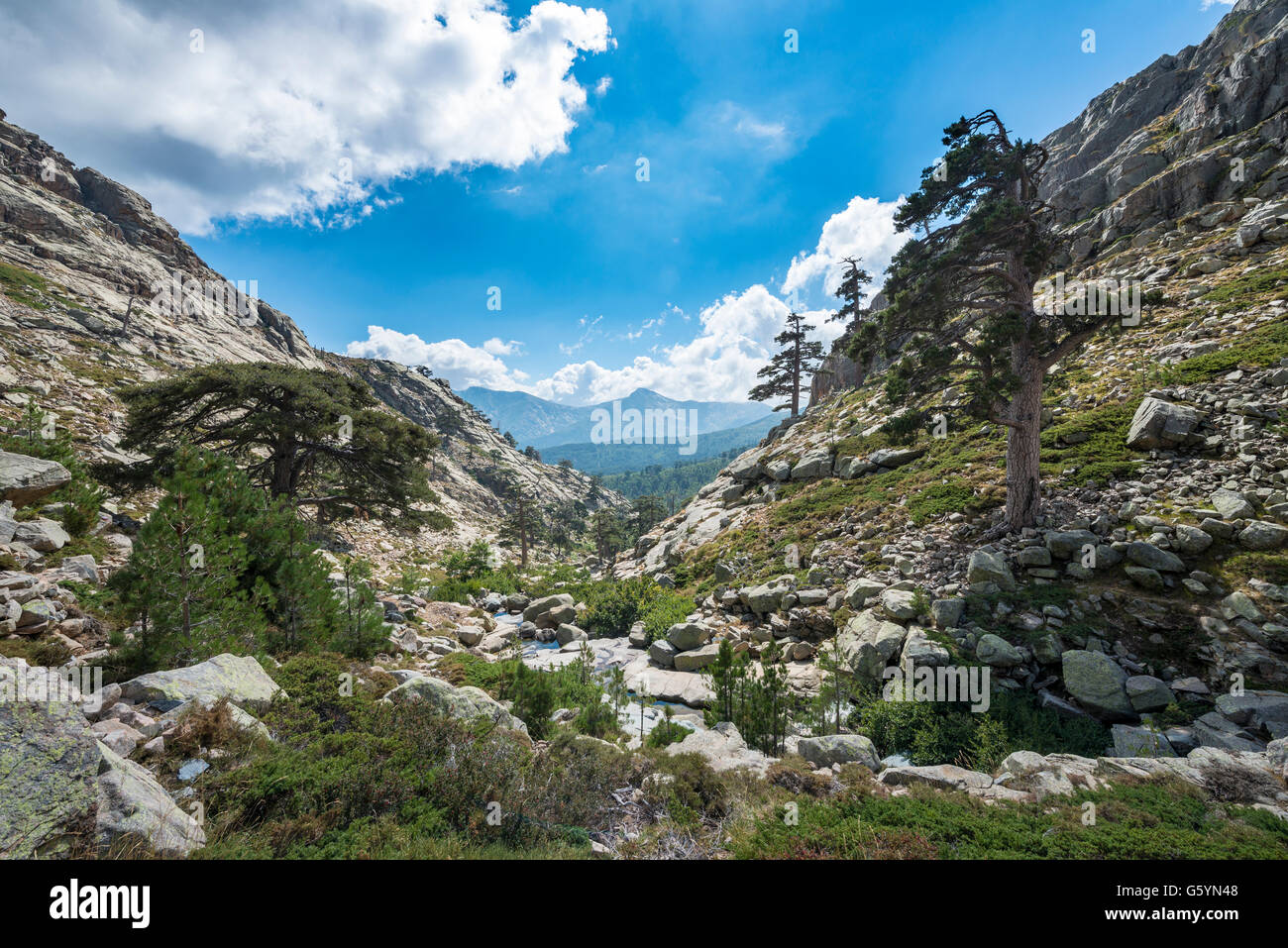 Paisaje montañoso en Golo Valley, el Parque Natural de Córcega, Parc naturel régional de Corse, Córcega, Francia Foto de stock