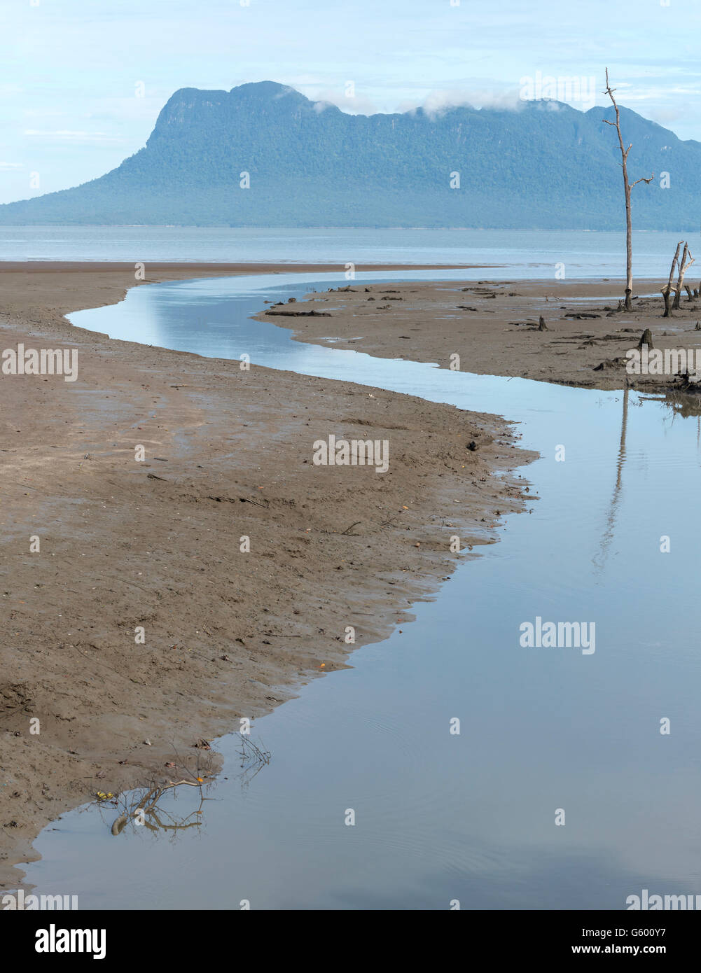 La costa en el Parque Nacional Bako, Borneo, Malasia Foto de stock
