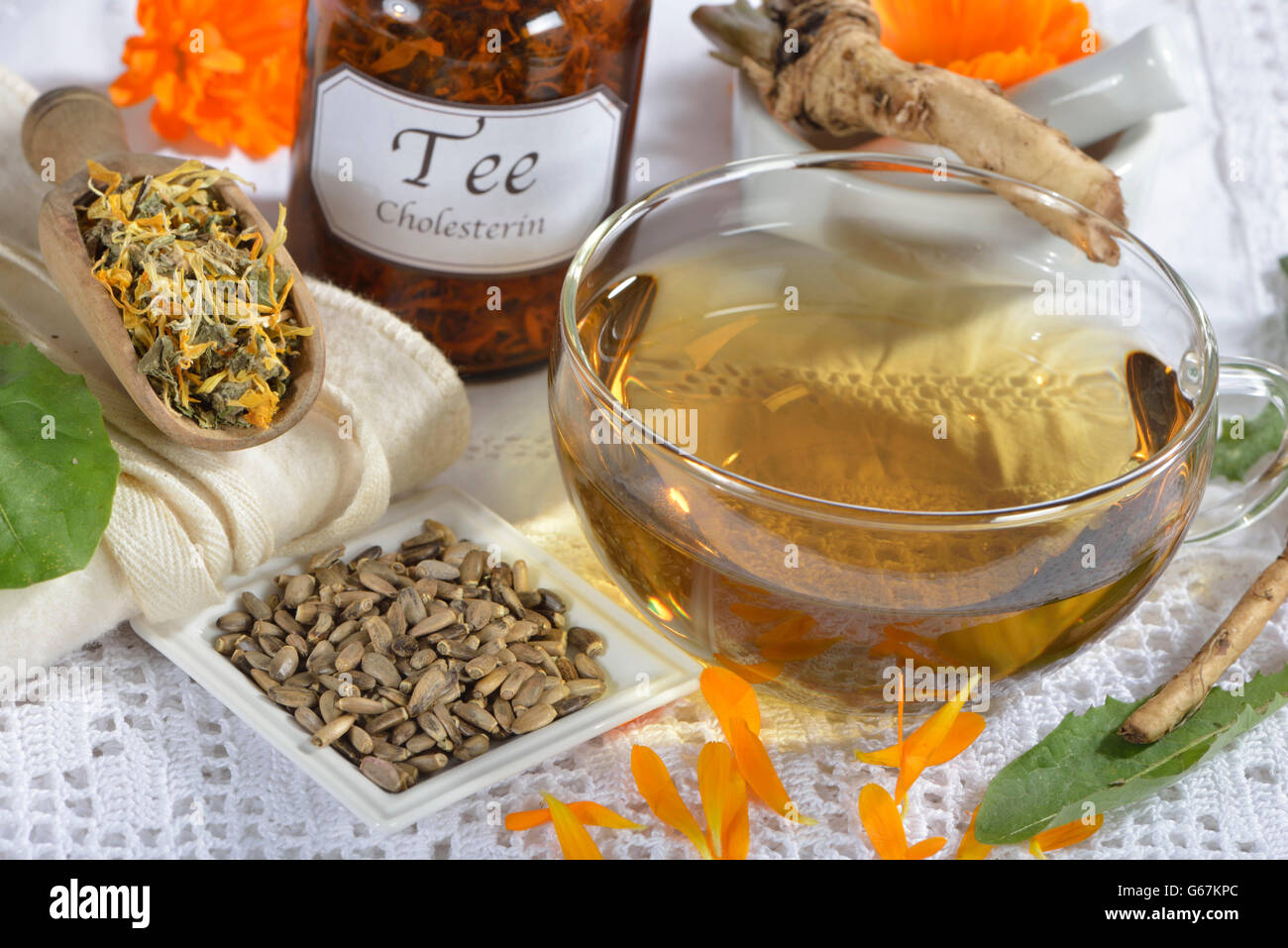 Diente de león y hierba de raíz común, Caléndula, Soapwort root, raíz de saponaria, fruto del cardo mariano cardo mariano, frutas, hojas de alcachofa / (Taraxacum officinale), Calendula officinalis), (Saponaria officinalis), (Silybum marianum), (Cynara scolymus) Foto de stock