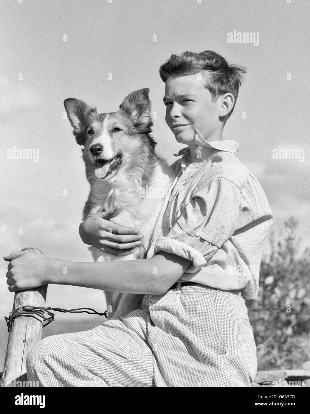 1930 1940 Retrato muchacho sentado valla sosteniendo a su mascota perro collie Foto de stock