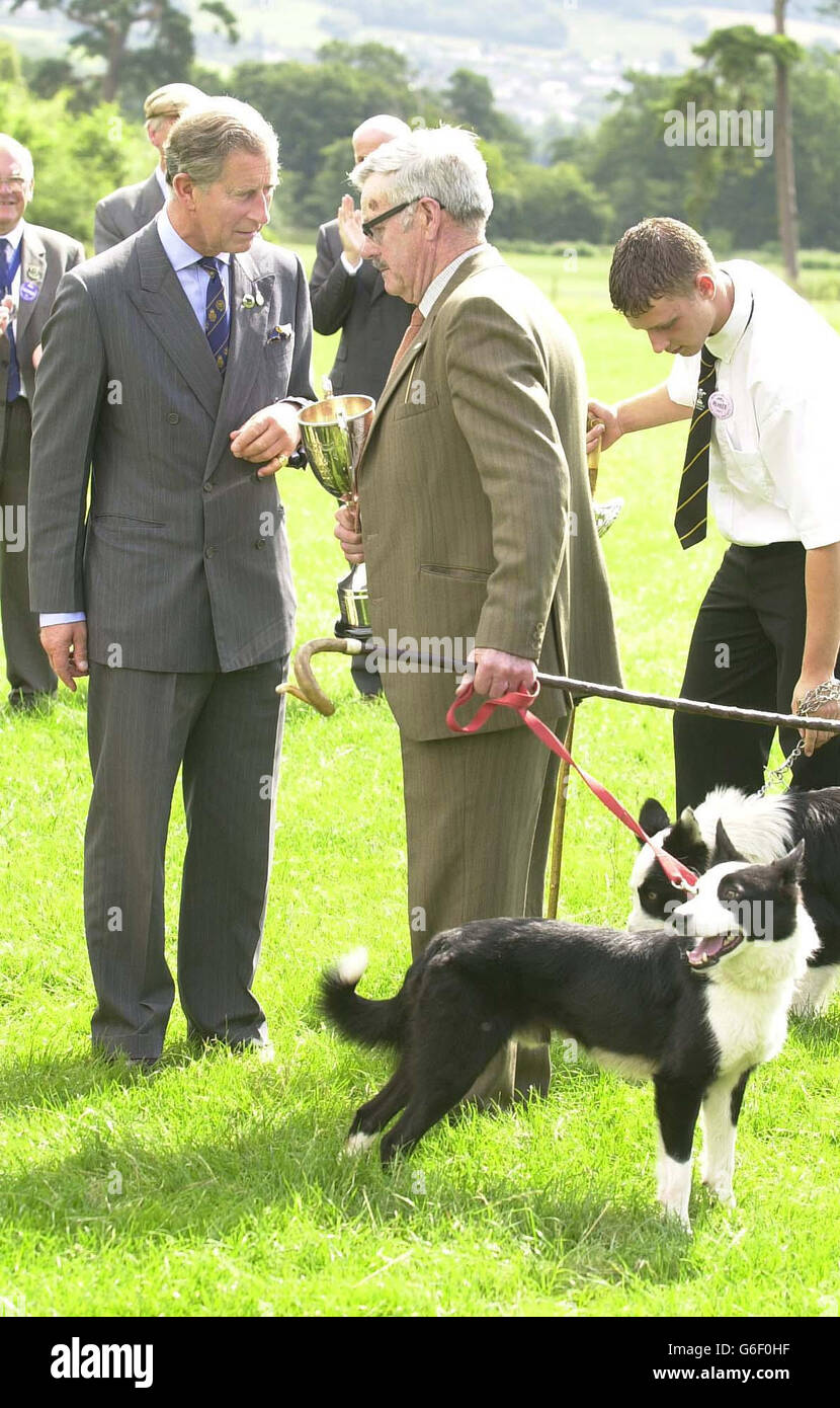 El Príncipe de Gales entrega a Jack Burke, de 80 años, un trofeo para el  competidor más antiguo en los ensayos nacionales de perros pastores galeses  en Glanusk Park, justo a las