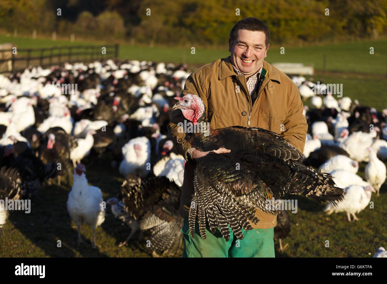 Preparaciones de pavo de navidad fotografías e imágenes de alta